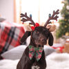 Picture of ADOGGYGO Christmas Dog Collar with Bow, Plaid Xmas Dog Bowtie Collar, Adjustable Green Dog Christmas Collars for Small Medium Large Dogs Pets (Large, Green)