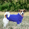 Picture of Queenmore Small Dog Pullover Sweater, Cold Weather Cable Knitwear, Classic Turtleneck Thick Warm Clothes for Chihuahua, Bulldog, Dachshund, Pug (Royal Blue, Small)