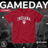 Picture of Campus Colors NCAA Adult Gameday Cotton T-Shirt - Premium Quality - Semi-Fitted Style - Officially Licensed Product (Indiana Hoosiers - Cardinal, X-Large)