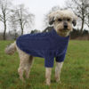 Picture of Queenmore Small Dog Pullover Sweater, Cold Weather Cable Knitwear, Classic Turtleneck Thick Warm Clothes for Chihuahua, Bulldog, Dachshund, Pug (Dark Navy, X-Small)