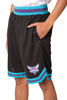 Picture of Ultra Game NBA Charlotte Hornets Mens Woven Basketball Shorts, Team Color, X-Large