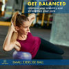 Picture of ProBody Pilates Ball Small Exercise Ball w/Pump, 9 Inch Bender Ball, Mini Soft Yoga Ball, Workout Ball for Stability, Barre, Ab, Core, and Physical Therapy Ball at Home Gym & Office (Indigo)