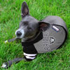 Picture of Pets First NFL Oakland Raiders Hoodie for Dogs & Cats. | NFL Football Licensed Dog Hoody Tee Shirt, Medium | Sports Hoody T-Shirt for Pets | Licensed Sporty Dog Shirt