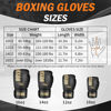 Picture of FIVING Boxing Gloves for Men and Women Suitable for Boxing Kickboxing Mixed Martial Arts Muay Thai MMA Heavy Bag Training