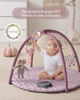Picture of Blissful Diary Baby Play Gym Mat, Tummy Time Activity Mat with 6 Detachable Toys for Stage-Based Sensory & Motor Skill Development, Easy to Install & Clean, Baby Essentials Gift, Lavender Pink
