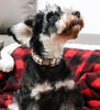 Picture of Unique style paws Dog Collar Metal Buckle Brown Plaid Collar Gift Durable Cute Collar for Small Medium Large Boys Girls Dogs