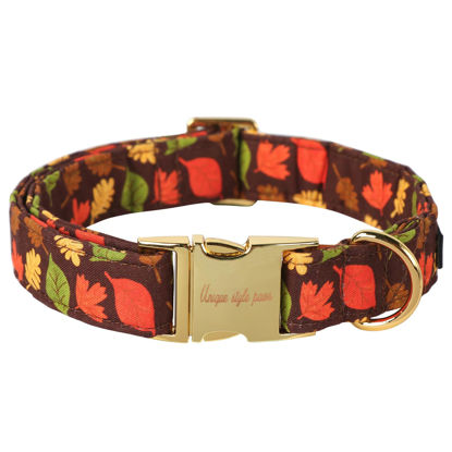 Picture of Unique style paws Dog Collar Metal Buckle Maple Leaves Collar Gift Durable Cute Collar for Small Medium Large Boys Girls Dogs