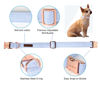Picture of Unique style paws Dog Collar Metal Buckle Blue Stripe Collar Gift Durable Cute Collar for Small Medium Large Boys Girls Dogs
