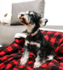 Picture of Unique style paws Halloween Dog Collar Metal Buckle Pumpkin Collar Gift Durable Cute Collar for Small Medium Large Boys Girls Dogs