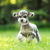 Picture of Unique style paws Dog Collar Metal Buckle Purple Blending Collar Gift Durable Cute Collar for Small Medium Large Boys Girls Dogs