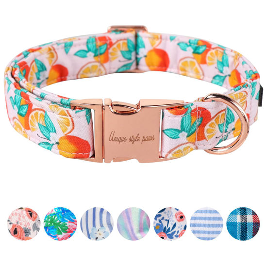 Picture of Unique style paws Dog Collar Metal Buckle Orange Collar Gift Durable Cute Collar for Small Medium Large Boys Girls Dogs