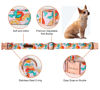 Picture of Unique style paws Dog Collar Metal Buckle Orange Collar Gift Durable Cute Collar for Small Medium Large Boys Girls Dogs