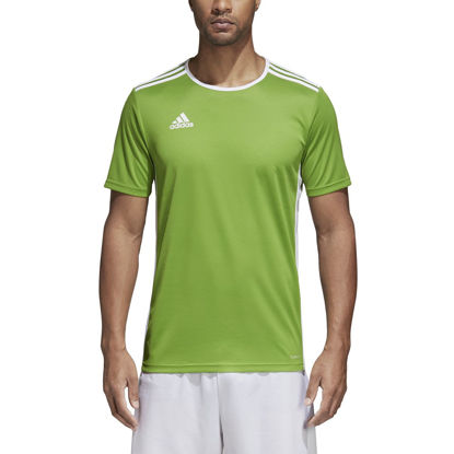 Picture of adidas Men's Entrada 18 Jersey, Rave Green, Large
