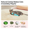 Picture of Potaroma Cat Toys Pillows, 3 Pcs, Soft and Durable Cat Crinkle Sound with Catnip Inside, Interactive Indoor Kitten Kicker, Promotes Kitty Exercise