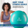 Picture of ProBody Pilates Ball Exercise Ball, Yoga Ball Chair, Multiple Sizes Stability Ball Chair, Gym Grade Birthing Ball for Pregnancy, Fitness, Balance, Workout and Physical Therapy Ball (Aqua, 65 cm)