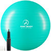 Picture of ProBody Pilates Ball Exercise Ball, Yoga Ball Chair, Multiple Sizes Stability Ball Chair, Gym Grade Birthing Ball for Pregnancy, Fitness, Balance, Workout and Physical Therapy Ball (Aqua, 85 cm)