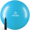 Picture of ProBody Pilates Ball Exercise Ball, Yoga Ball Chair, Multiple Sizes Stability Ball Chair, Gym Grade Birthing Ball for Pregnancy, Fitness, Balance, Workout and Physical Therapy Ball (Teal, 75 cm)