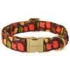 Picture of Unique style paws Dog Collar Metal Buckle Maple Leaves Collar Gift Durable Cute Collar for Small Medium Large Boys Girls Dogs