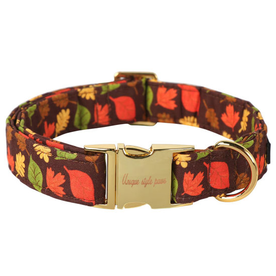 Picture of Unique style paws Dog Collar Metal Buckle Maple Leaves Collar Gift Durable Cute Collar for Small Medium Large Boys Girls Dogs