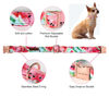 Picture of Unique style paws Dog Collar Metal Buckle Watermelon Collar Gift Durable Cute Collar for Small Medium Large Boys Girls Dogs