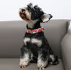 Picture of Unique style paws Dog Collar Metal Buckle Watermelon Collar Gift Durable Cute Collar for Small Medium Large Boys Girls Dogs