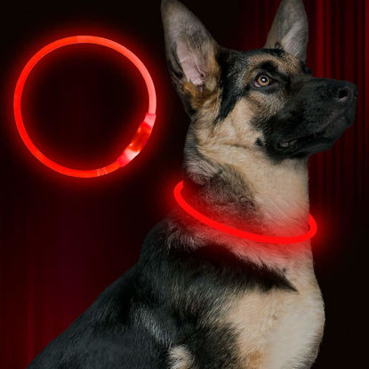 Picture of Led Dog Collar, BSEEN USB Rechargeable Flash Dog Necklace Light, Pet Safety Collar Makes Your Beloved Dogs Be Seen at Night for Small Medium Large Dogs(Red)