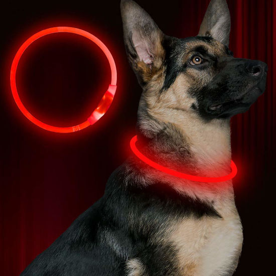 Picture of Led Dog Collar, BSEEN USB Rechargeable Flash Dog Necklace Light, Pet Safety Collar Makes Your Beloved Dogs Be Seen at Night for Small Medium Large Dogs(Red)