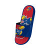 Picture of FOCO Kansas Jayhawks NCAA Mens Colorblock Big Logo Gel Slides - L