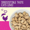 Picture of Stella & Chewy's Freeze-Dried Raw Cat Dinner Morsels - Grain Free, Protein Rich Cat & Kitten Food - Yummy Lickin’ Salmon & Chicken Recipe - 1 oz Bag