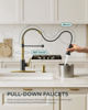 Picture of FORIOUS Kitchen Faucets with Pull Down Sprayer, Stainless Steel Commercial Single Handle Classic Spring Pull Out Sink Faucet for Farmhouse Camper Laundry Utility Room RV, Black Gold