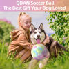 Picture of QDAN Extra Large Dog Toys Soccer Ball - Durable Dog Balls for Extra Large Dogs, Beach Pool Dog Water Toy, Interactive Dog Toys for Tug of War, Puppy Birthday Gifts, Rainbow (9 Inch)
