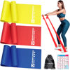 Picture of Resistance Bands for Working Out, Exercise Bands for Physical Therapy, Stretch, Recovery, Pilates, Rehab, Strength Training and Yoga Starter Set