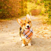 Picture of ADOGGYGO Fall Dog Bandanas, Halloween Thanksgiving Dog Bandana, Orange Plaid Dog Scarf, Multiple Sizes Offered, Fall Holiday Bandanas for Medium Large Dogs Pets (Fall, Large)