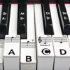 Picture of runzoos Piano Key Stickers for 88/76/61/54/49 Keys, Removable Piano Stickers for Beginners, Piano Keyboard Stickers for Kids, Keyboard Stickers for Piano Keys, Piano Key Labels Notes (Black)