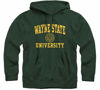 Picture of Barnesmith Wayne State University Warriors Hooded Sweatshirt, Heritage, Hunter Green, Medium