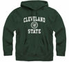 Picture of Barnesmith Cleveland State University Vikings Hooded Sweatshirt, Heritage, Hunter Green, Small