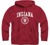 Picture of Barnesmith Indiana University Hoosiers Hooded Sweatshirt, Heritage, Cardinal, Small