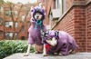 Picture of Fitwarm Thermal Knitted Dog Sweater Doggy Winter Coat Pet Clothes Doggie Turtleneck Jacket Puppy Outfits Cat Sweatsuit Lavender Purple XS