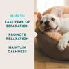Picture of VetIQ Advanced Calming Support Supplement for Dogs, Calming Chews Help Manage Stress and Promote Relaxation, Anxiety Relief for Dogs, Made in The USA, 60 Count