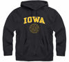 Picture of Barnesmith University of Iowa Hawkeyes Hooded Sweatshirt, Heritage, Black, Medium