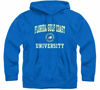 Picture of Barnesmith Florida Gulf Coast University Eagles Hooded Sweatshirt, Heritage, Royal Blue, Small