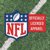 Picture of NFL Kids Youth 4-20 Official Primary Logo Prime Pullover Fleece Lined Hoodie Sweatshirt (US, Numeric, 18, 20, Regular, Detroit Lions - Blue)