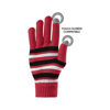 Picture of FOCO Atlanta Falcons NFL Stretch Gloves