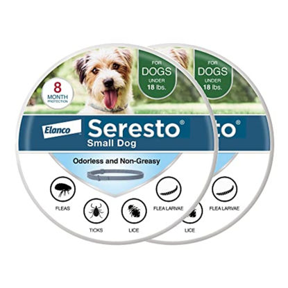 Picture of Seresto Small Dog Vet-Recommended Flea & Tick Treatment & Prevention Collar for Dogs Under 18 lbs. | 2 Pack