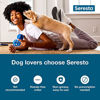 Picture of Seresto Small Dog Vet-Recommended Flea & Tick Treatment & Prevention Collar for Dogs Under 18 lbs. | 2 Pack