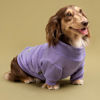 Picture of Fitwarm 3 Pack Classic Fleece Dog Sweater, Turtleneck Dog Sweatshirt, Dog Winter Clothes for Small Dogs Boy Girl, Pet Pullover Jumper, Cat Apparel, Purple, MediumPurple, Dark Red, XXL