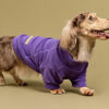 Picture of Fitwarm 3 Pack Classic Fleece Dog Sweater, Turtleneck Dog Sweatshirt, Dog Winter Clothes for Small Dogs Boy Girl, Pet Pullover Jumper, Cat Apparel, Purple, MediumPurple, Dark Red, XL