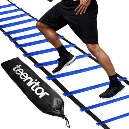 Picture of Teenitor Agility Ladders, 13 Rung Agility Ladder Speed Ladder Footwork Ladder with Carry Bag, Workout Ladder for The Ground Training Ladder