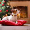Picture of Unique style paws Christmas Dog Collar Metal Buckle Scottish Plaid Puppy Collar Gift Durable Cute Collar for Small Medium Large Boys Girls Dogs