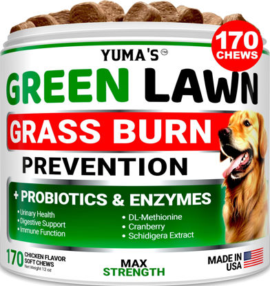 Picture of Dog Urine Neutralizer for Lawn - 170 Chews - Advanced Grass Green Savers for Dog Urine - Canine Pee Grass Neutralizer Supplement - Green Lawn Treats with Probiotics and Digestive Enzymes
